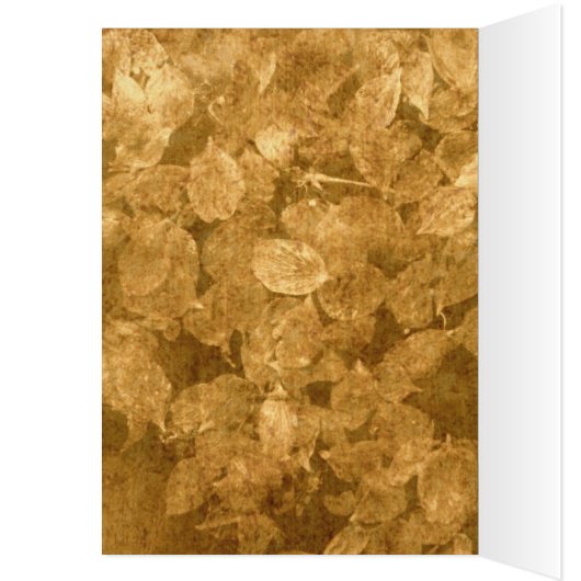 Artifact Bug Card (Inside (Left))