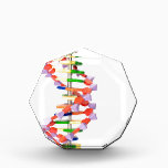 Artificial DNA model Acrylic Award<br><div class="desc">Artificial DNA model</div>