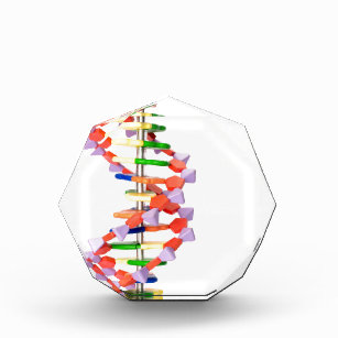 Artificial DNA model Acrylic Award