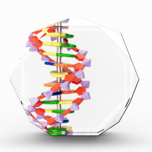 Artificial DNA model Award