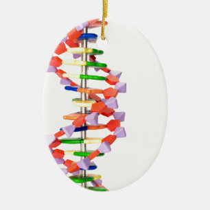 Artificial DNA model Ceramic Ornament