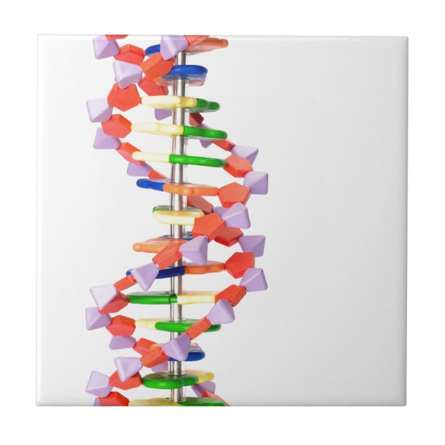 Artificial DNA model Ceramic Tile (Front)