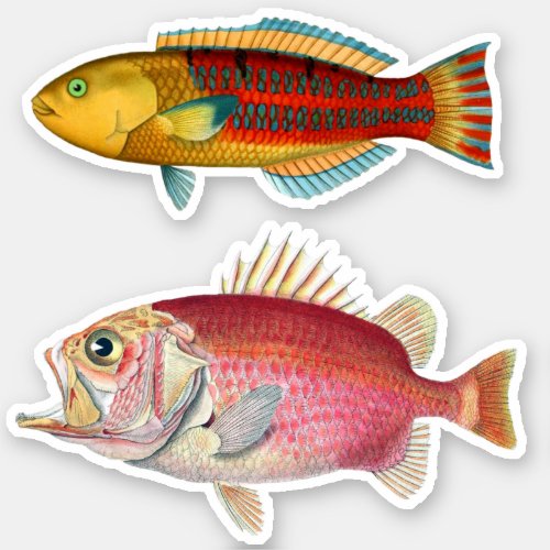 Artist Impression Tropical Fish Illustration Vinyl Sticker