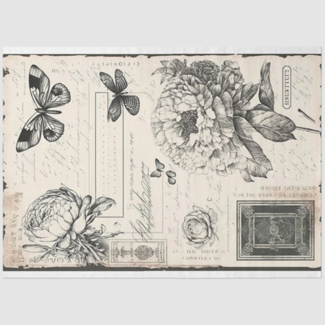 Artist Large Vintage Peony Butterfly Black White Tissue Paper (Front)