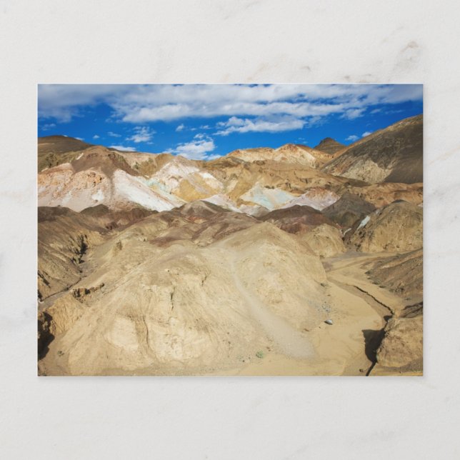 Artist Palette Postcard (Front)