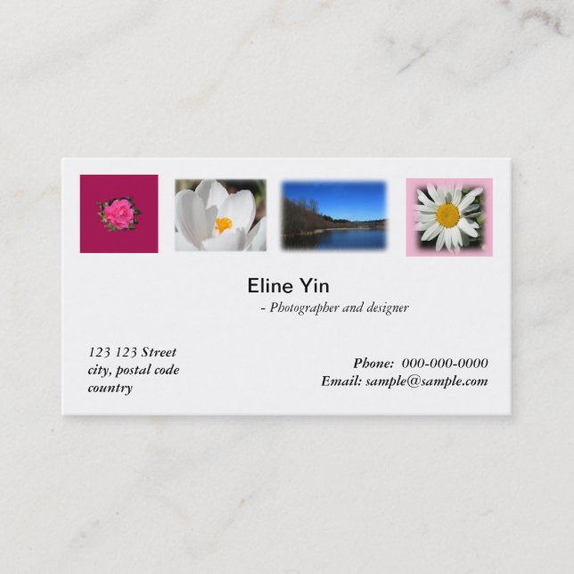Artist, photographer, zazzler business card (Front)
