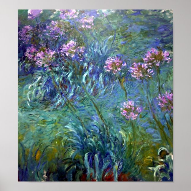 Artistic Agapanthus Fine Art Flowers Poster (Front)