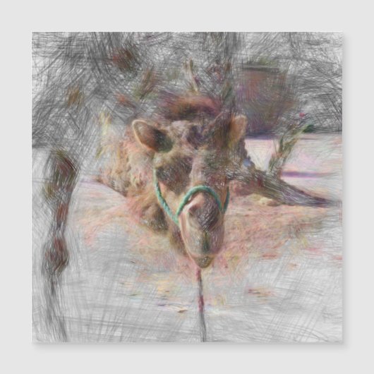 Artistic Animal camel 2. (Front)