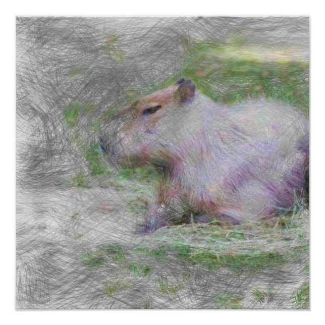 artistic animal capybara poster (Front)