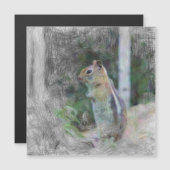 artistic animal chipmunk 1 (Front/Back)