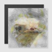 artistic animal ostrich (Front/Back)