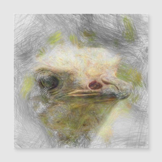 artistic animal ostrich (Front)