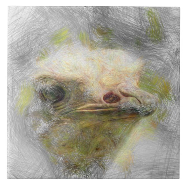 artistic animal ostrich ceramic tile (Front)