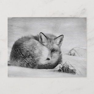 *~* Artistic Animal Red Fox Ap18 Artsy Wildlife Postcard