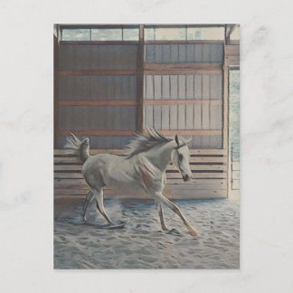 Artistic Arabian Postcard