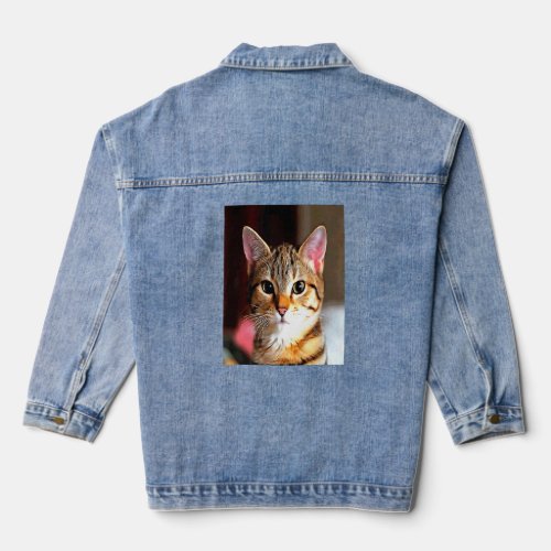 Artistic Baby Faced Yellow Eyed Brown Tabby Cat Po Denim Jacket