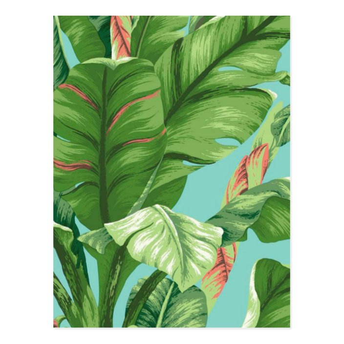 Artistic Banana Leaf Flower Watercolor Painting Postcard Zazzle
