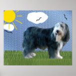 Artistic Bearded Collie Poster