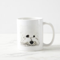 Artistic Bichon head aquarelle