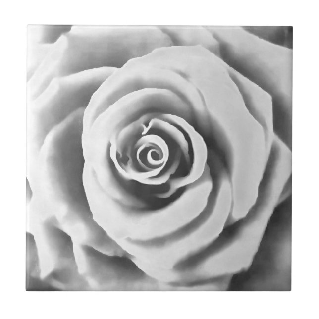 Artistic Big White Rose Ceramic Tile (Front)