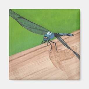 Artistic Blue Dragonfly on a Rail Magnets