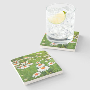 Artistic Bright and Colorful White Garden Daisies Stone Coaster