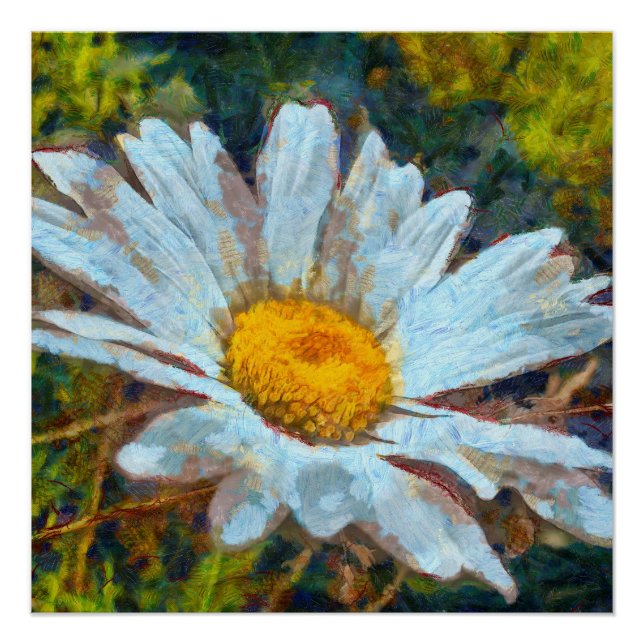 Artistic Close Up of a Marguerite Daisy Flower  Poster (Front)