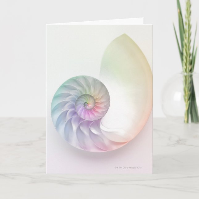 Artistic colored nautilus image card (Front)