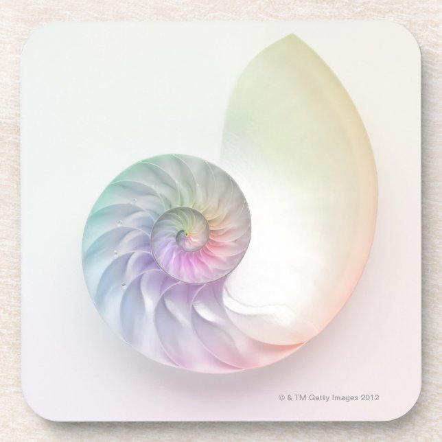 Artistic colored nautilus image drink coaster (Front)