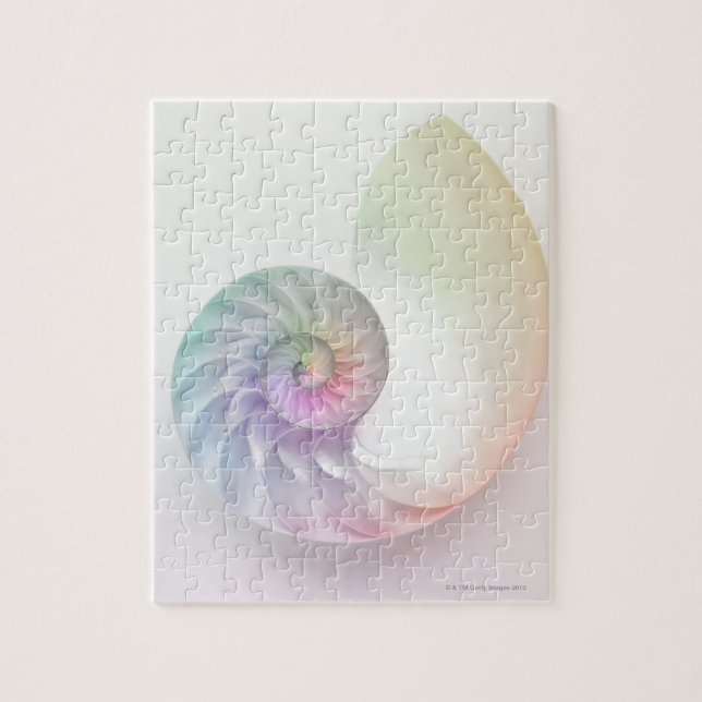 Artistic colored nautilus image jigsaw puzzle (Vertical)