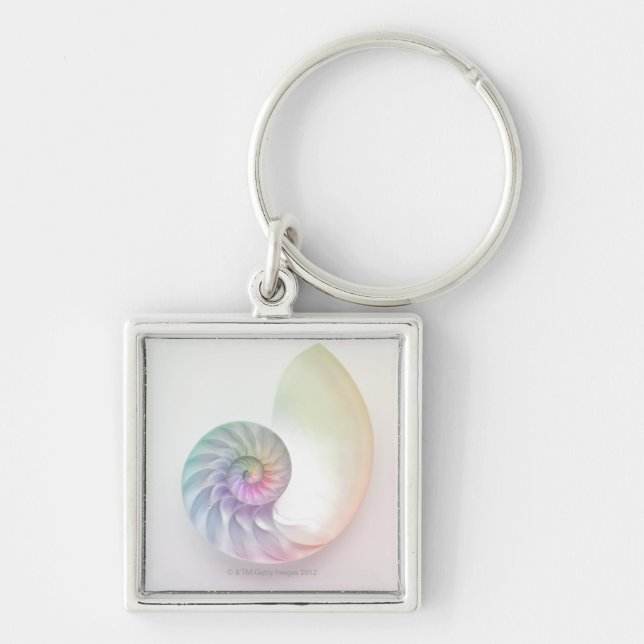 Artistic colored nautilus image keychain (Front)