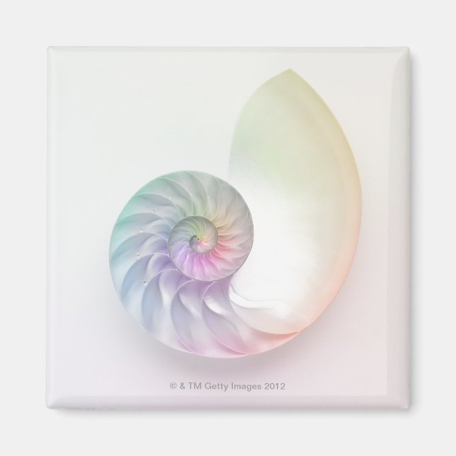 Artistic colored nautilus image magnet (Front)