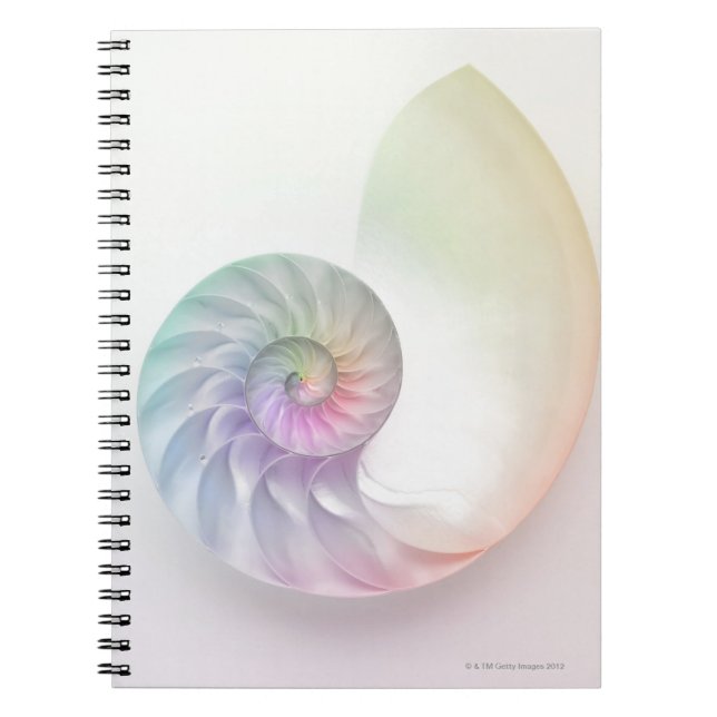 Artistic colored nautilus image notebook (Front)