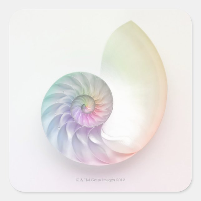 Artistic colored nautilus image square sticker (Front)