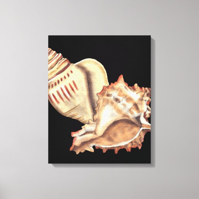 Artistic Conch Shells Canvas Print (Front)