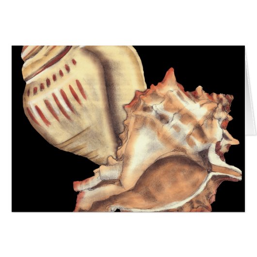 Artistic Conch Shells Cards (Front Horizontal)