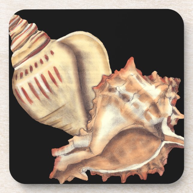 Artistic Conch Shells Drink Coaster (Front)