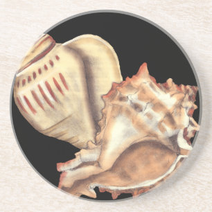 Artistic Conch Shells Drink Coaster
