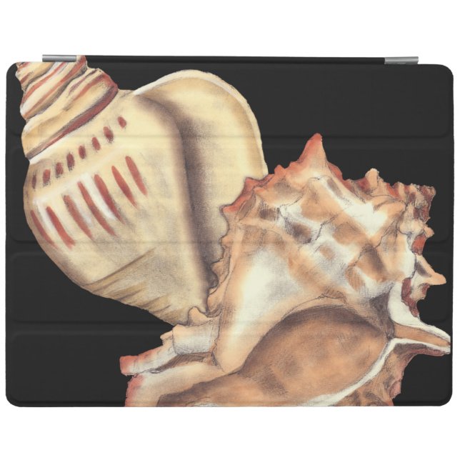 Artistic Conch Shells iPad Smart Cover (Horizontal)