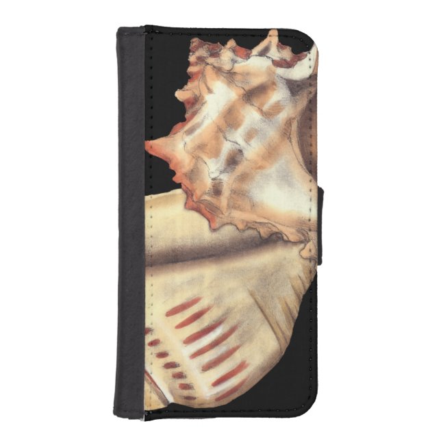 Artistic Conch Shells iPhone Wallet Case (Front)