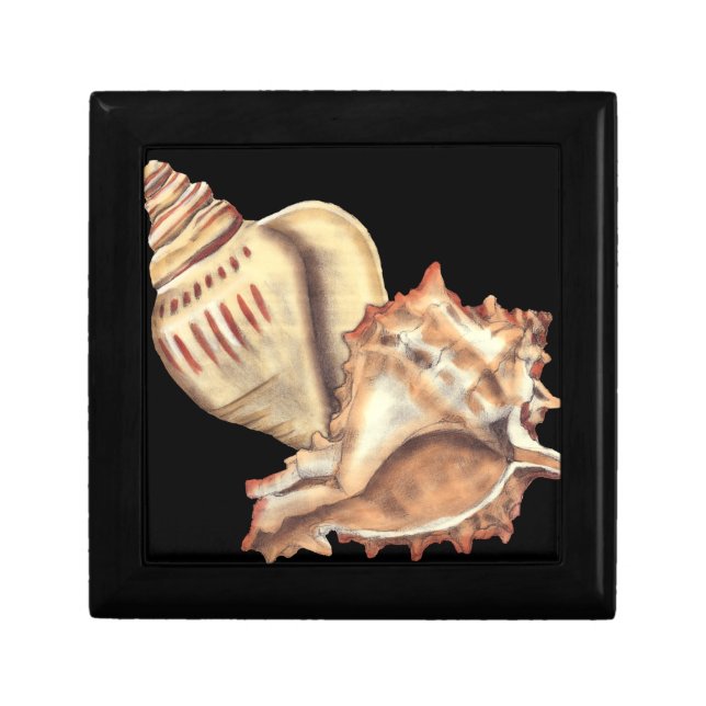Artistic Conch Shells Jewelry Box (Front)