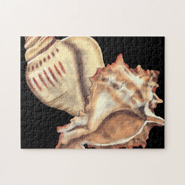 Artistic Conch Shells Jigsaw Puzzle (Horizontal)