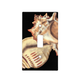 Artistic Conch Shells Light Switch Cover