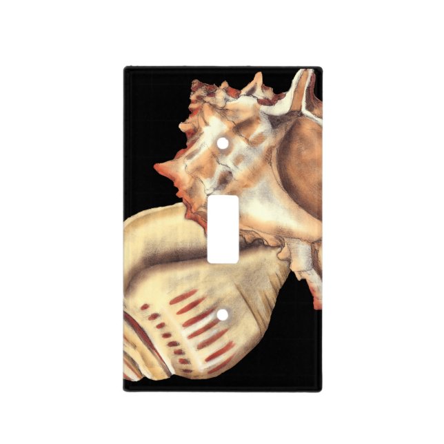 Artistic Conch Shells Light Switch Cover (Front)