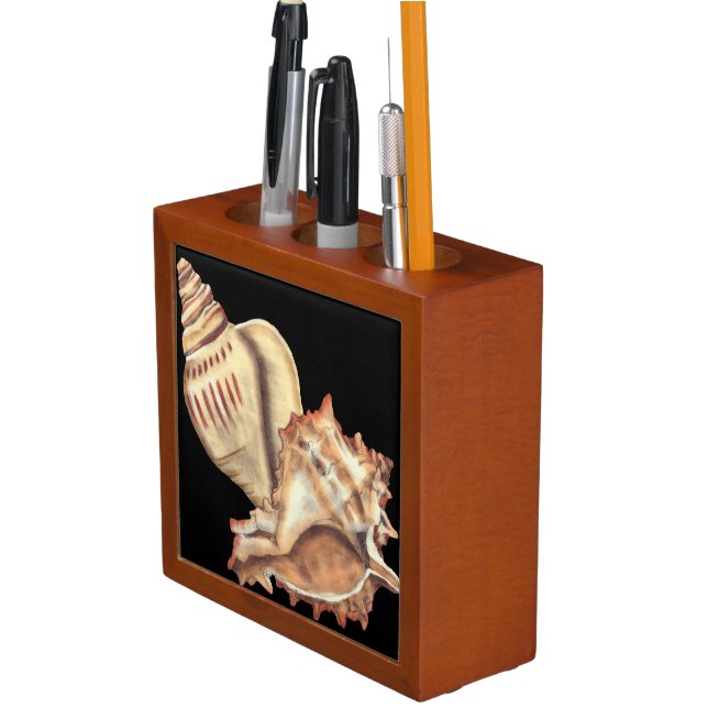 Artistic Conch Shells Pencil/Pen Holder (In Situ)