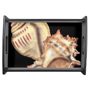 Artistic Conch Shells Serving Tray