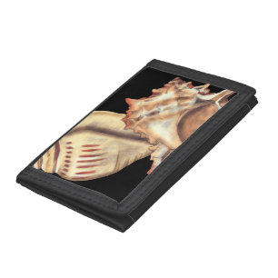 Artistic Conch Shells Trifold Wallet