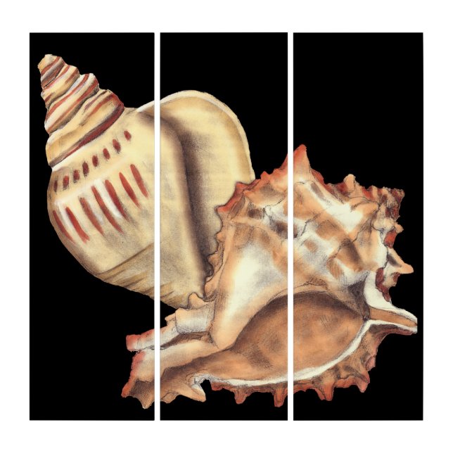 Artistic Conch Shells Triptych (Front)