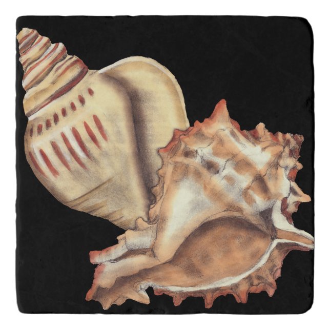 Artistic Conch Shells Trivet (Front)