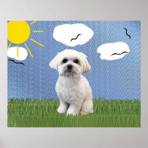 Artistic Dogs _ Maltese v3 Poster